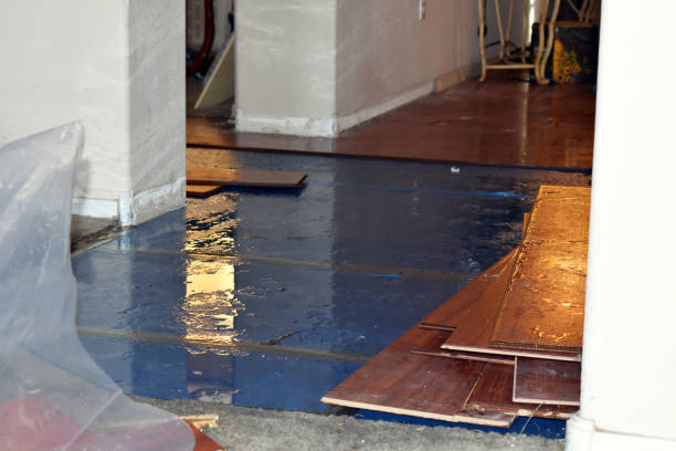 Professional Water Damage technician working in Sheboygan Falls, WI
